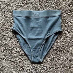 Skims Cotton Rib Brief Kyanite Size XL NEW